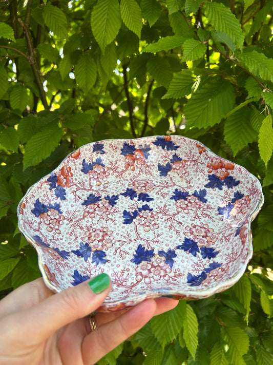 Red and Blue Imari Scalloped Dish